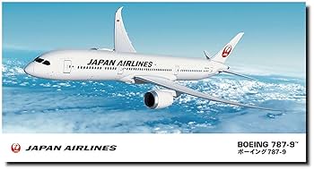 Amazon.co.jp: 1/200 Japan Airlines Boeing 787-9 22 : Hobbies